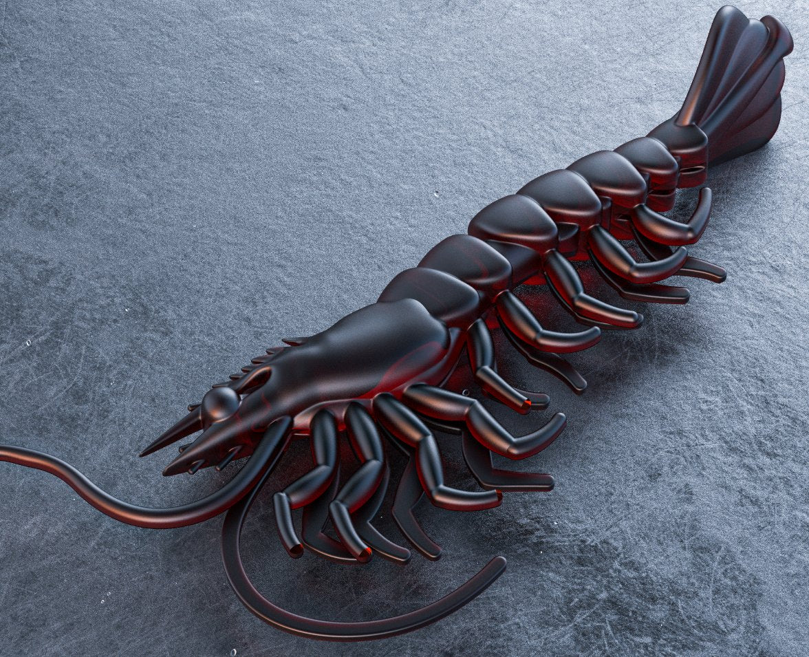 Prawns
