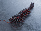 Realistic Prawn (3″- 4.5″)
